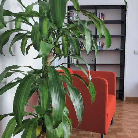 Casa Bonblet
